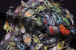 T-Shirt Coréen INSKULL™ -Mode Vêtements Boutique hallyu street tshirts tshirt inskull 14043132985367